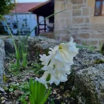 Chalet Casa Da Relva Experiencia Tematica Inspirada Em Harry Potter Lamego