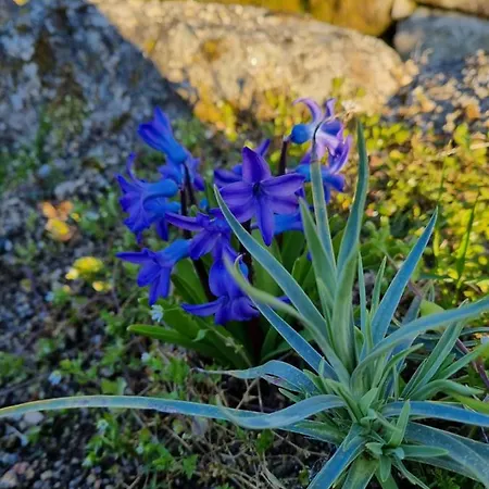 샬레 Casa Da Relva Experiencia Tematica Inspirada Em Harry Potter 라메구