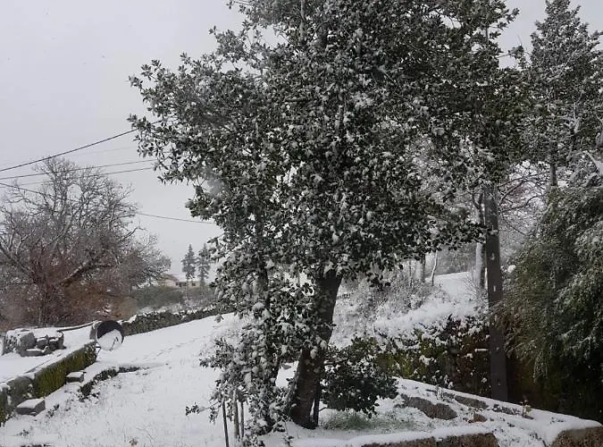 Casa Da Relva Experiencia Tematica Inspirada Em Harry Potter Domek alpejski Lamego